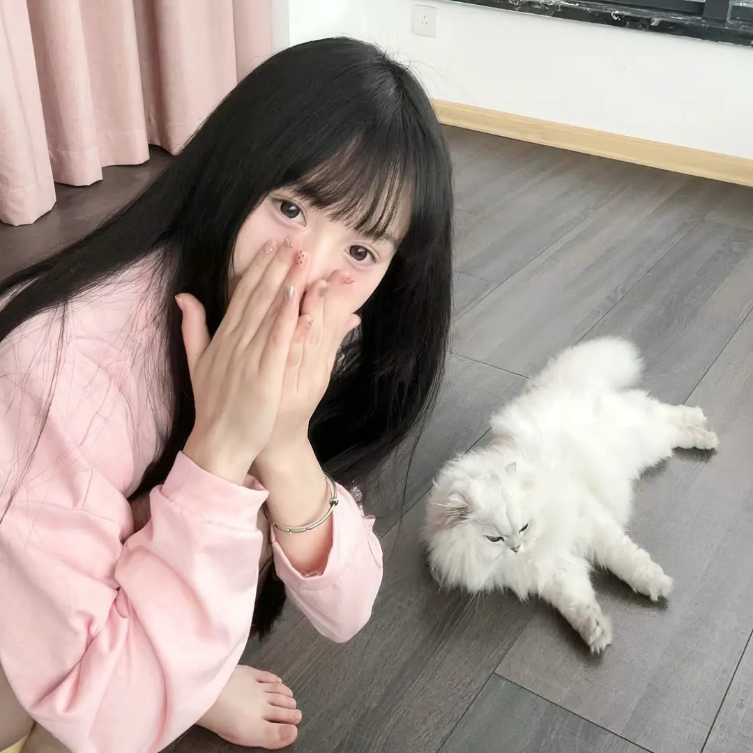 黑鹰